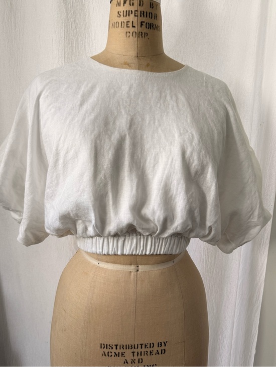 DISSH Tops - DIISH, Linen Crop Balloon Top, sz 4
